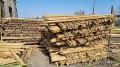 IMG-20220219-WA0003.jpg