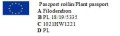 paszport filodendron.jpg