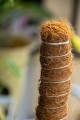 palik 4.jpg