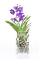 AdobeStock_40578527.jpeg