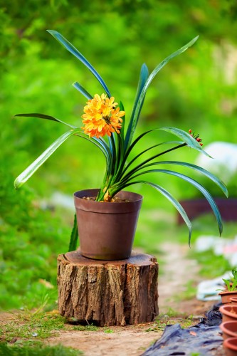 AdobeStock_52126740.jpeg