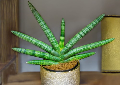 AdobeStock_136928273.jpeg