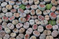 AdobeStock_265475977.jpeg