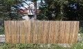 DSC_6810.JPG