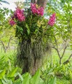 AdobeStock_68939218_Preview.jpeg