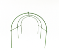 Zielony tunel ogrodowy na białym tle.png