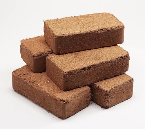 650 g 1.jpg