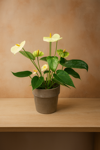 ChatGPT Image 18 sie 2025, 09_45_48.png