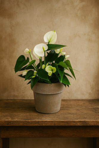 ChatGPT Image 18 sie 2025, 09_57_21.png