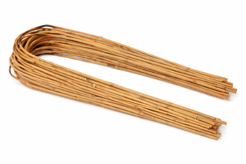 Bambus gięty 40 cm – naturalna podpora do roślin, średnica 8–10 mm, rozstaw ok. 20 cm, białe tło.