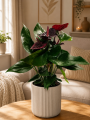 ChatGPT Image 8 lip 2026, 12_21_24.png
