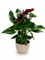 ChatGPT Image 8 lip 2026, 12_21_32.png