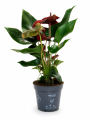 ChatGPT Image 8 lip 2026, 12_21_47.png