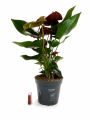 ChatGPT Image 8 lip 2026, 12_22_16.png