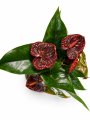 ChatGPT Image 8 lip 2026, 12_29_11.png