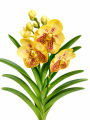 ChatGPT Image 18 sie 2026, 11_50_42.png