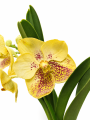ChatGPT Image 18 sie 2026, 11_50_55.png