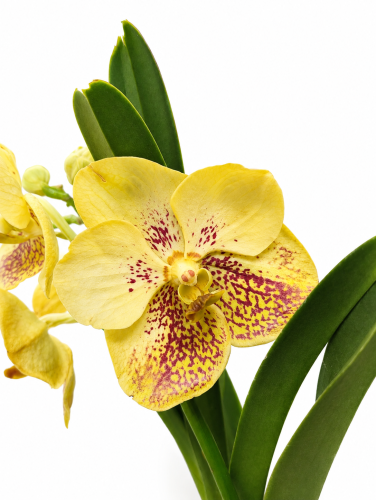 ChatGPT Image 18 sie 2026, 11_50_55.png