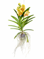 ChatGPT Image 18 sie 2026, 11_51_00.png