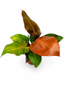 ChatGPT Image 19 sie 2026, 14_39_56.png