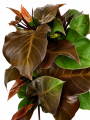 ChatGPT Image 19 sie 2026, 14_39_59.png