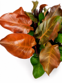 ChatGPT Image 19 sie 2026, 14_40_02.png