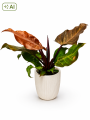 ChatGPT Image 19 sie 2026, 14_50_23.png