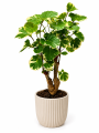 ChatGPT Image 27 sie 2026, 14_43_57.png