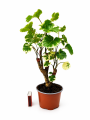 ChatGPT Image 27 sie 2026, 14_44_06.png