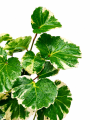 ChatGPT Image 27 sie 2026, 14_44_22.png