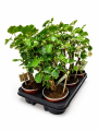 ChatGPT Image 27 sie 2026, 14_44_33.png