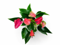 ChatGPT Image 28 sie 2026, 12_28_06.png