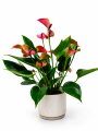 ChatGPT Image 28 sie 2026, 12_28_20.png
