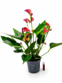 ChatGPT Image 28 sie 2026, 12_28_27.png
