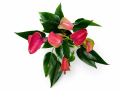 ChatGPT Image 28 sie 2026, 12_28_36.png