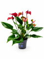 ChatGPT Image 28 sie 2026, 12_28_43.png