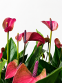 ChatGPT Image 28 sie 2026, 12_28_48.png
