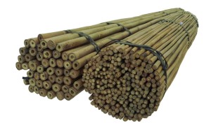 Bamboo canes 150 cm 24/26 mm /10 pcs/