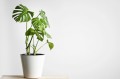 AdobeStock_291899307.jpg
