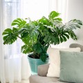 AdobeStock_336160607.jpg
