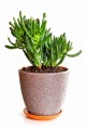 AdobeStock_71411684.jpg