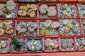 AdobeStock_283051116.jpeg