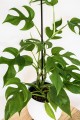 AdobeStock_354138567.jpg