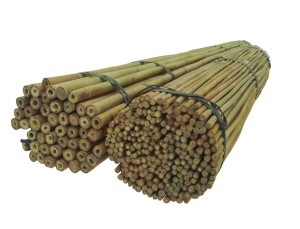 Bamboo canes 120 cm 10/12 mm /25 szt