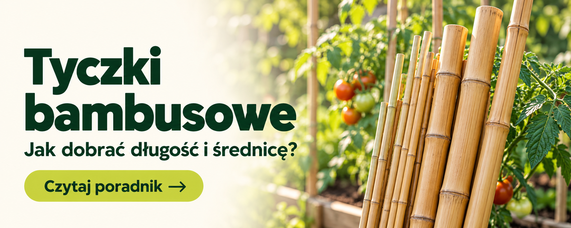 Tyczki bambusowe — jak dobrać długość i średnicę?